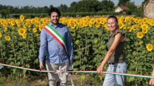 Ornago: labirinto girasoli - foto Shirin/Marco Passoni