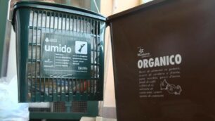 Contenitori del rifiuto organico