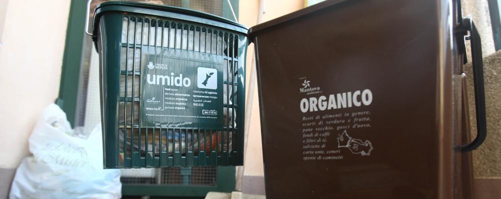 Contenitori del rifiuto organico