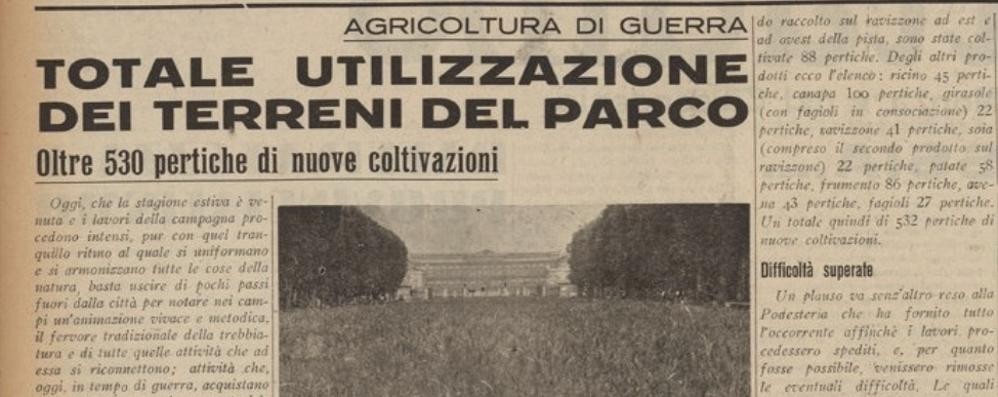 Dalla pagina di cronaca del Cittadino del 10 luglio 1941