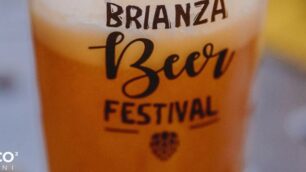 Brianza Beer Festival a Desio