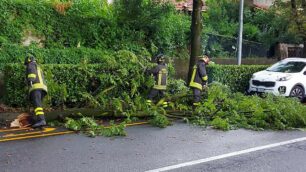 Maltempo, rami caduti e tombini saltati  a Giussano e Carate