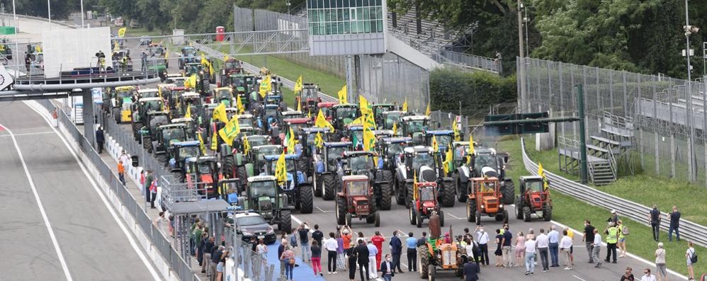 Festa automobilista