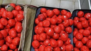 L’hashish sequestrata a metà giugno a Triuggio