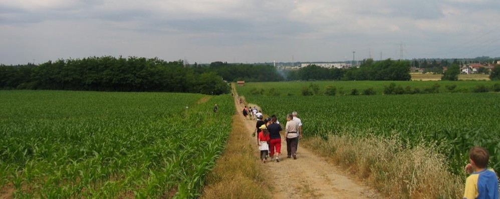 Una camminata in Brianza