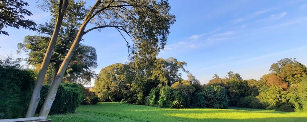 Il parco della Villa Scaccabarozzi di Velate