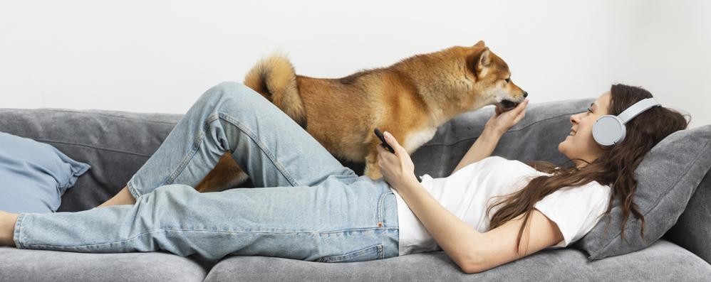 Consigli a Sei zampe cane in casa sul divano con la sua proprietaria - foto freepik/it.freepik.com