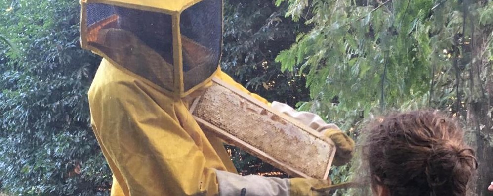 besana: cascine aperte apicoltura dell'orto
