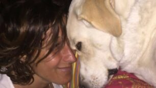 Il cane protagonista della disavventura
