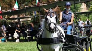 Una delle manifestazioni della Sagra di San Fermo 2021