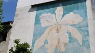 Uno dei murales di Seregno
