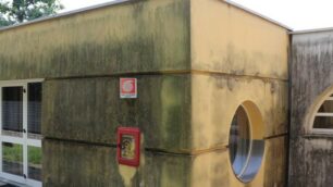 I muri tutti pieni di umidità e muffa delle pareti a nord dell'edificio materna Andersen di Seregno ( foto Volonterio)