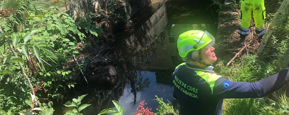 Un intervento della Protezione Civile di Usmate Velate nel torrente Molgora