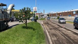 Asfaltature a Villasanta. Sono previste in via Sanzio in notturna