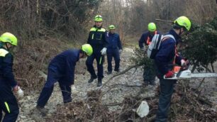 L’edizione 2017 della “Giornata del verde pulito” di Triuggio