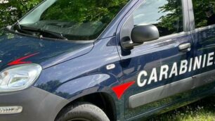 Carabinieri in azione a Busnago: arrestato un 33enne per maltrattamenti