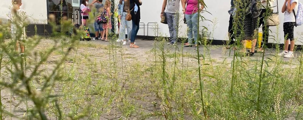 Come si presentava la scuola di Arcore prima dell’intervento