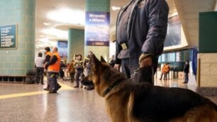 I controlli della Guardia di finanza all'aeroporto di Malpensa