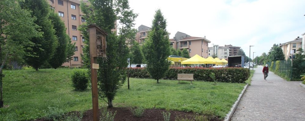 Viale Libertà nella zona del centro civico