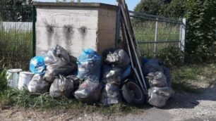 Arriva anche a Carate “Puliamo il mondo”