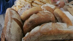 Monza Pane