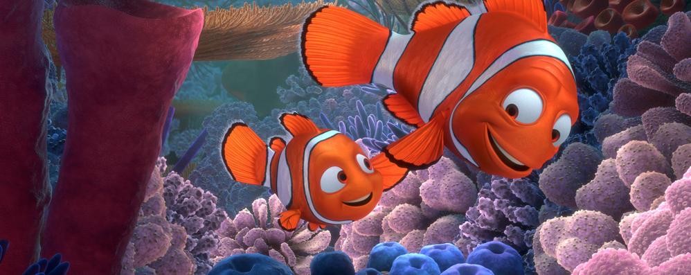 Nemo con il papà nel film Pixar