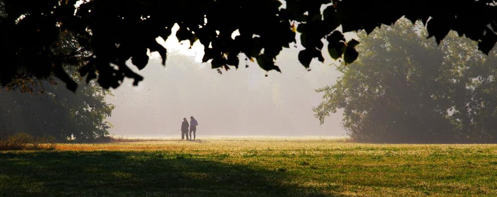 Monza Parco