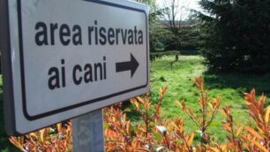 Un’area riservata ai cani