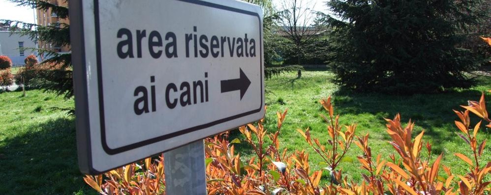 Un’area riservata ai cani