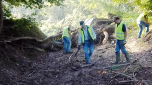 Una delle scorse edizioni della “Giornata ecologica” sul Lambro