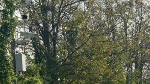 Albiate telecamere spente, vandalizzate e avvolte dall'edera