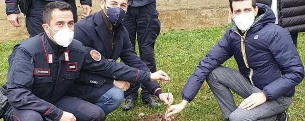 Il sindaco Veggian, al centro, mentre pianta l’acero