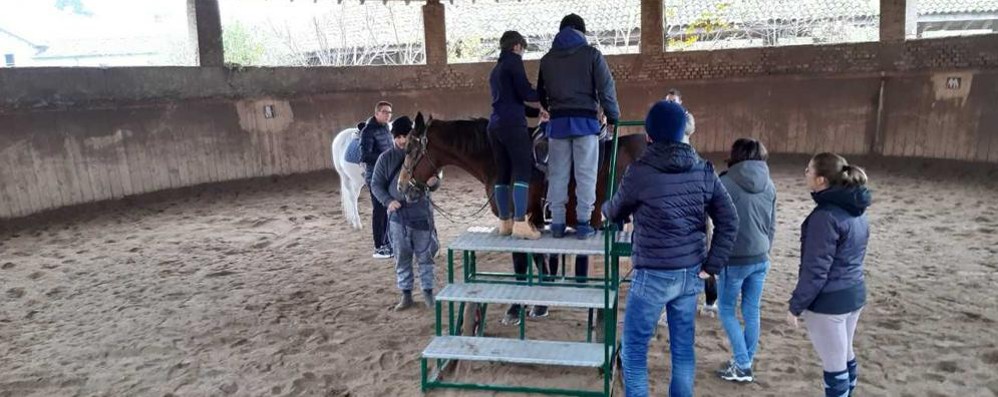 Attività del Cer al Centro ippico al Mirabello nel parco di Monza