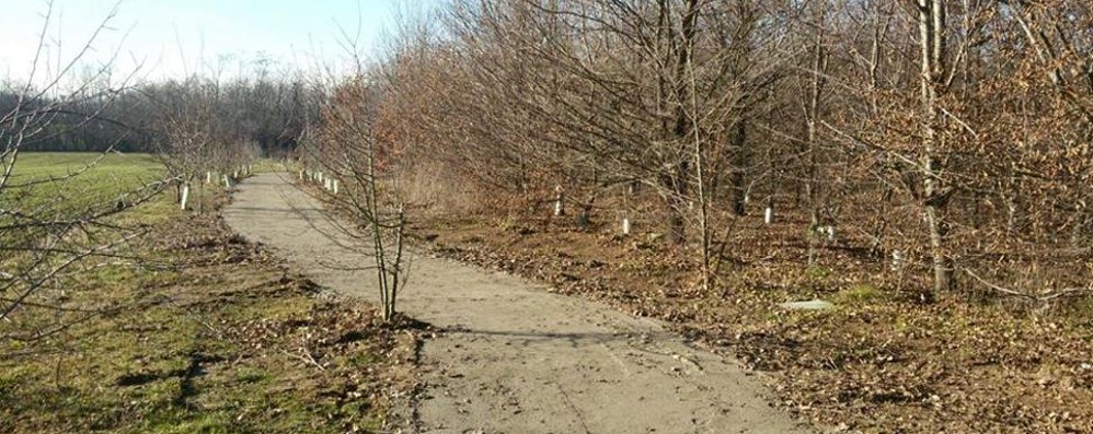 Una ciclabile nel parco Pane