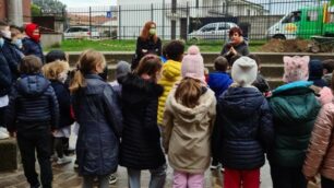 Giussano albero biancospino alla primaria Birone