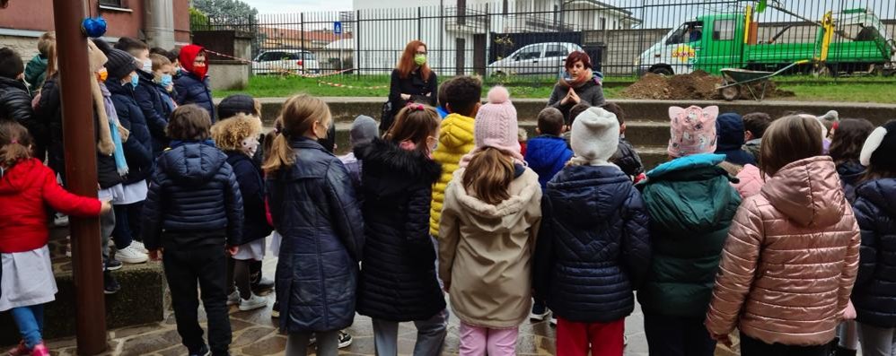 Giussano albero biancospino alla primaria Birone