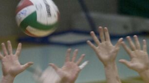 Pallavolo, giocatore truffato