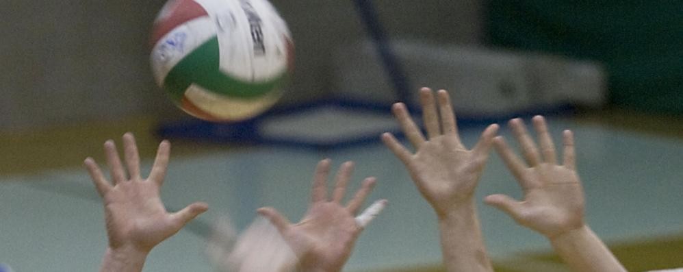 Pallavolo, giocatore truffato