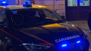 Sull’accaduto hanno indagato i carabinieri