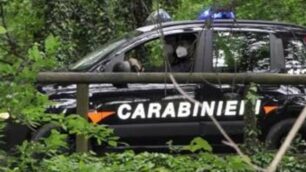 Carabinieri in una zona boschiva