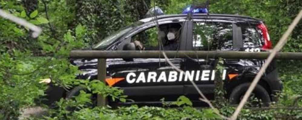 Carabinieri in una zona boschiva