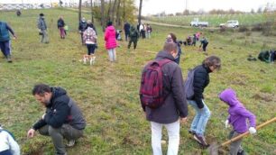 Caponago piantumazione alberi parco Pane