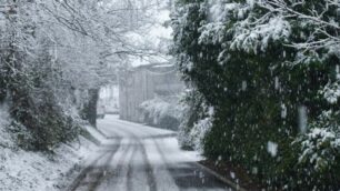 Neve in Brianza. Briosco, Besana, Vergo e Agliate imbiancate