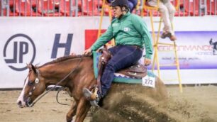 Lavezzari in una recente gara di reining - foto Federazione Fise