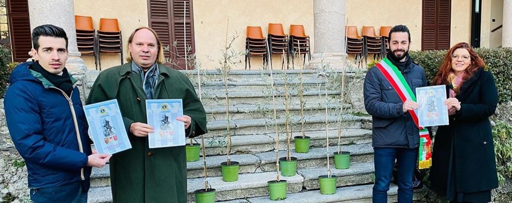 L’Unione Nazionale dei Cavalieri d’Italia da donato dieci ulivi a Carate Brianza: «Simbolo di pace»