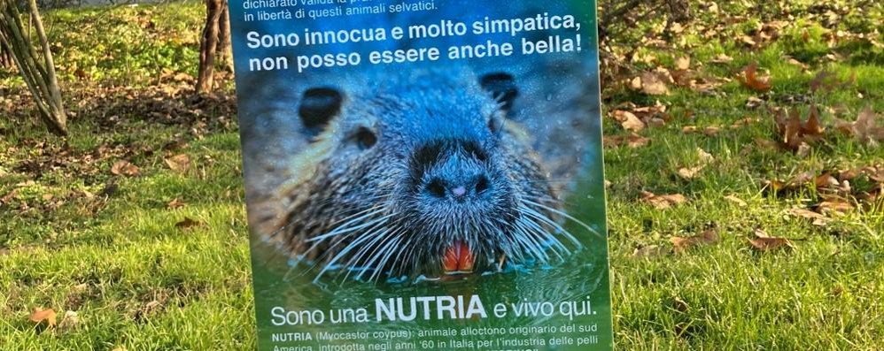 I cartelli per la salvaguardia delle nutrie