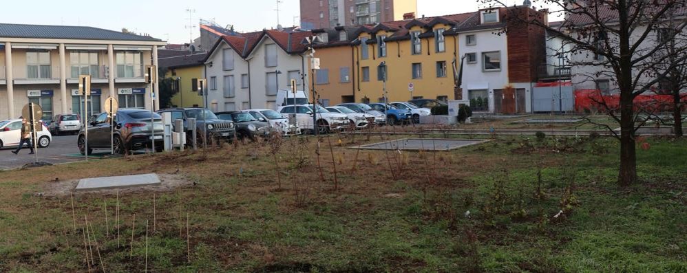 L'a centrale area verde di piazza Donatori di Sangue, attigua a via Odescalchi, diventerà il "giardino delle farfalle"