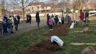 La piantumazione degli alberi a Sovico