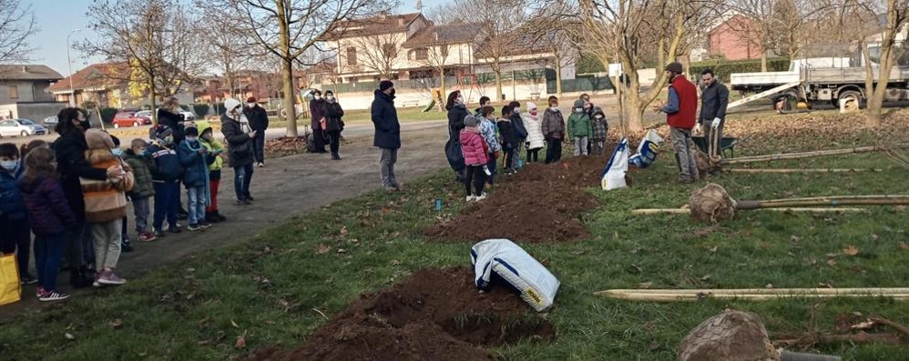 La piantumazione degli alberi a Sovico