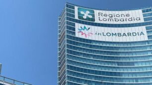 Regione Lombardia Palazzo Lombardia (foto  Perego)